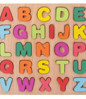 Wooden Educational Puzzle Blocks